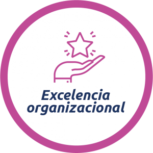 Expertos en gestión de calidad, garantizan la actualización de los procesos y su permanente aplicación en términos de excelencia operacional.